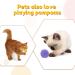 Caydo 200pcs 2 Inch Large Pom Poms with 100pcs Wiggle Eyes - Assorted Colors for DIY Crafts and Decorations - Buy Online on SooperMarket.com