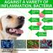 Dog Health Supplement Drops for Allergy Relief, Skin Itch, Kennel Cough, UTI & Ear Infection - Multivitamin Bacon Flavor - 2 Fl Oz - Buy Online on SooperMarket.com
