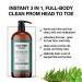 ABBOT KINNEY APOTHECARY Men's 3-in-1 Tea Tree Wash - 32oz for Skin and Hair | Moisturizing Shampoo, Conditioner, Body Wash - Buy Online on SooperMarket.com
