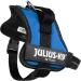 K9 Powerharness S/Mini - Blue | Premium Dog Harness for Small Breeds | International Shipping Available - Buy Online on SooperMarket.com