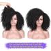 Lady Miranda Afro Short Kinky Synthetic Curly Wigs for Black Women - Natural and Stylish - Buy Online on SooperMarket.com