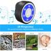 Buy MYPIN COURST HOUSE TRING Celbn - IP65 Waterproof Dog Door Bell with 20 Ringtones & 4 Modes LED Flash | 1 Receiver + 2 Transmitters (PET0172) - Buy Online on SooperMarket.com