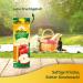 Buy Pfanner 100% Apple Juice - Classic Fruit Juice No Added Sugar - 2L Pack | International Shipping - Buy Online on SooperMarket.com