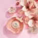 Guess Bella Vita Rosa Shimmer Mist 8.4 Fl Oz Fruity Floral 8.4 Fl Oz (Pack of 1) - Buy Online on SooperMarket.com