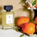 Swiss Arabian Vetiver and Orange for Women - Sophisticated Womens Perfume - Woody Spicy Fragrance with Orange Pepper and Vetiver - 3.4 oz - Buy Online on SooperMarket.com