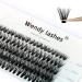 Individual Cluster Lashes C Curl 0.07mm Mixed 8-16mm 40 Root Cluster Eyelash Extensions Grafting Individual Cluster Eyelashes 40D DIY Lashes Clusters Lash Extensions(Clusters-40D-0.07-C-816) RR-8-16mm Clusters-40D-0.07-C