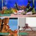 Natural Driftwood Aquarium Decor - Assorted Branches for Reptile/Fish Tank (2 Pack, 9-14 inch) - Buy Online on SooperMarket.com
