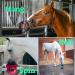 Bizzy Ball Horse Toy Black | Bizzy Lick Holder Reduce Boredom in Horses | Innovative Design | Peppermint Essential Oil included | 847g - Buy Online on SooperMarket.com