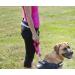 DINGO Canicross Belt 4-in-1 | Universal Adjustable Hands-Free Dog Walking Belt | Reflective Multifunctional | Running Sports Jogging Training | Black Waist Belt (12780-2) - Buy Online on SooperMarket.com