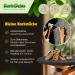 Kork-Deko Cork Bark Pieces I Aquarium Terrarium Decoration I Sachet 500g | Cleaned and disinfected - Buy Online on SooperMarket.com