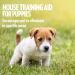 OUT! Indoor and Outdoor Dog and Puppy Training Spray | House-Training Aid| 500ml 500 ml (Pack of 1) - Buy Online on SooperMarket.com