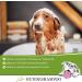Lillis Naturals Dog Shampoo with Pump Cap - Eco-Friendly & Gentle Pet Care | Shop Internationally - Buy Online on SooperMarket.com