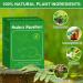 12 Pack Natural Peppermint Oil Rodent Repellent Balls - Safe Pest Control for Mice, Rats, Roaches, Moles, Squirrels, Ants, Moths - Indoor & Outdoor Use - Pet & Kid Safe - Buy Online on SooperMarket.com