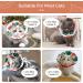 ComSaf Cat Recovery Collar - Lightweight & Adjustable Elizabeth Collar for Cats - Prevent Licking Wounds - Watermelon-M - Buy Online on SooperMarket.com