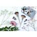 EcoTools Wake Up + Glow Makeup Brush Set with Beauty Blender, Silicone Applicator, Face Mask Brush, Eye Roller - 6 Pc Set - Buy Online on SooperMarket.com