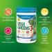 Progressive Vegegreens Blueberry Medley Flavour 265 g Anti-Inflammatory plus Liver & Digestion Support Blueberry Medley 265 g - Buy Online on SooperMarket.com