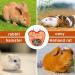 Rabbit Hay Feeder Guinea Pig Hay Rack Manger Holder Hanging Feeding Storage Made of Oxford Cloth For Rabbits Guinea Pigs Ferrets and Other Small Animals (Orange) - Buy Online on SooperMarket.com