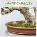 BESPORTBLE 3pcs Pet Water Feeder Small Ants Feeder Ants Water Feeding Ants Farm Accessory Insect Feeder Plastic - Buy Online on SooperMarket.com