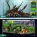 Natural Driftwood Aquarium Decor - Assorted Branches for Reptile/Fish Tank (2 Pack, 9-14 inch) - Buy Online on SooperMarket.com