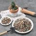 Succulent Cactus Bonsai Gritty Mix Stones (2 LB)  Small Decorative Horticultural Gravel Rocks for Aquarium  Terrariums  Fairy Garden  Top Dressing  Soil Additive for Potted Houseplants 2 LB Bonsai Gritty Mix Stones - Buy Online on SooperMarket.com