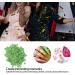 Fruit Nail Art Slices Fruit Slices for Nail Art 10g/pack Fruit Shaped Nail Art Slices Polymer Clay Nail Art Glasses Decoration Accessories for DIY Crafts Nail Art and Cellphone Decoration(Kiwi) - Buy Online on SooperMarket.com