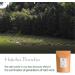 Bancha Hojicha Organic Green Tea - Houjicha Roasted Tea From Japan - Japanese Tea 200g - Buy Online on SooperMarket.com