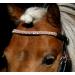 Buy Tysons Breeches Bridle in Rose Gold | Mini Shetty Riding Bridle with Leather Glitter Rhinestones + Reins - International Shipping Available - Buy Online on SooperMarket.com