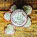 Dried Dragon Fruit Slices - Premium Dehydrated Cocktail Garnishes - 14 Servings (50g Approx) - Buy Online on SooperMarket.com