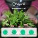 Udyan Tea Lemongrass Tranquillity Green Tea with Mint 100g (40 Cups) | Handpicked Natural Ingredients | Calms Your Body & Mind | Enhances Focus and Clarity - Buy Online on SooperMarket.com