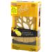 Glade Expressions Oil Diffuser Starter Pineapple and Mangosteen 0.67 Ounce