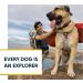 Ruffwear Swamp Cooler Core Evaporative Cooling Add-on | Small Graphite Gray - Buy Online on SooperMarket.com