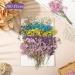 Dried Babys Breath Flowers - 100 Pcs Natural Gypsophila Branches for DIY Crafts and Gifts - Mixed Color Pressed Baby's Breath Flowers - Buy Online on SooperMarket.com
