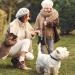5M Retractable Dog Leash - Extendable Automatic Leash for Small Animals | Blue Dog Leash Kit - Buy Online on SooperMarket.com