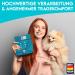Buy Dog is K nig Eco-Friendly Dog Diapers for Bitches - 3 Adjustable Pants for Heat & Incontinence | Large (50-65cm) - Red Blue Green - Buy Online on SooperMarket.com