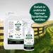 Equisept Fly Spray for Horses - 3L Insect Spray Canister | Mosquito & Horse Skin Care - Veterinarian Recommended Doping-Free - Buy Online on SooperMarket.com