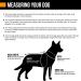 Hurtta Monsoon Dog Raincoat - Waterproof Jacket for Dogs with Reflectors | Orange 80 cm (32 in) - Best Protection Against Rain - Buy Online on SooperMarket.com