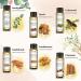 EUQEE Woody Aromatherapy Essential Oils Set - Eucalyptus, Cedarwood, Sandalwood, Frankincense, Cinnamon, Myrrh - 6 x 10ml White Bottles - Buy Online on SooperMarket.com