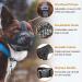 Adjustable Breathable Mesh Dog Muzzle - Grey S | Comfortable & Secure Muzzle for Dogs - Buy Online on SooperMarket.com