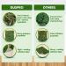DUSPRO Moss Mat 2Pcs - Self Stick Moss for Crafts & Decor - 13x9.5 Inches - Ideal for Moss Wall Decor & Wedding Party - Green Sheet Moss - Buy Online on SooperMarket.com