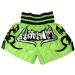 Woldorf USA Boxing Muay Thai Shorts in Satin Green with Silver Letters Large