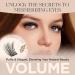 LASHVIEW Lash Clusters - D Curl Individual Lashes | Wispy Volume False Eyelashes | Soft Lightweight DIY Eyelash Extensions for At-Home Use | International Shipping Available - Buy Online on SooperMarket.com