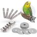 Pack of 5 stainless steel branch screws for DIY | Cage fastening of bird toys perches seat boards