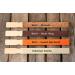 Wooden Paint Stir Sticks - Rewiss 10 Inch Paint Sticks Stirrers for Paddles Resin or Wood Craft Sticks Garden and Library Markers(Pack of 50) 10 inch(50pcs) - Buy Online on SooperMarket.com