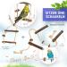 9-Piece Bird Cage Accessory Set for Budgies & Small Birds | Ideal for Species-Appropriate Care - Buy Online on SooperMarket.com