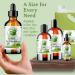 Shop Bella Terra Green Coffee Bean Oil - 1 Gallon for Hair & Skin | Antioxidant-Rich Fast-Absorbing & Non-Greasy - Buy Online on SooperMarket.com