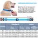Haapaw Reflecting Dog Collar for Small & Medium Dogs - Padded Soft Neoprene & Breathable Nylon - Blue L (1-Pack) | Durable & Comfortable - Buy Online on SooperMarket.com