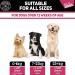 Dog Urinary Health Supplements 60 Soft Chews | Antibiotic Remedy | Stimulates Immune System & Maintains Overall Health | Cranberry & Echinacea | Wheat Free | Veterinarian Formulated Dog Urinary Care - Buy Online on SooperMarket.com