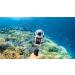 Buy Insta360 X3 Invisible Dive Case - Best Waterproof Accessory for Underwater Adventures | International Shipping Available - Buy Online on SooperMarket.com