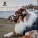 Oneigris Durable Soft Muzzle for Medium & Large Dogs | Adjustable Rubber Design | Prevent Barks Biting & Chewing - Buy Online on SooperMarket.com