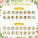 16-Piece Wooden Jungle Animal Baby Milestone Cards | Double-Sided Safari Monthly Markers for Newborn Photos | Baby Shower Photo Props - Buy Online on SooperMarket.com